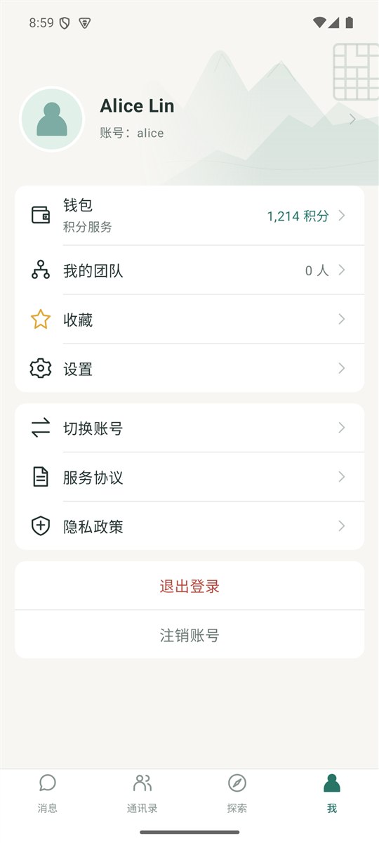 「我」页面:钱包积分、我的团队、设置